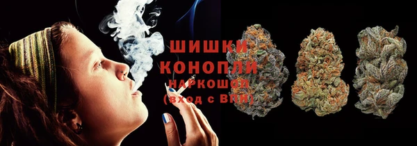 прущие грибы Балахна