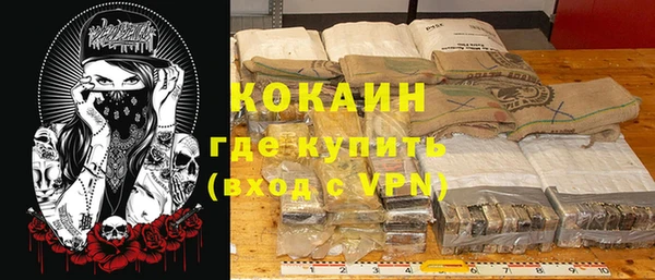 прущие грибы Балахна