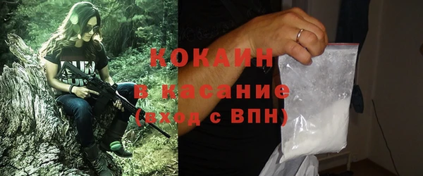 прущие грибы Балахна
