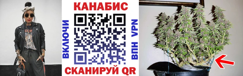 Каннабис Amnesia  Черногорск 